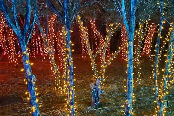 Which Halloween Lighting Styles Will Be Popular This Year? - Outdoor Landscape Lighting Installations and Designs by Elite Lighting Designs