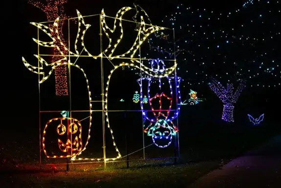 What Types of Holiday Lighting Can Be Used for Halloween and Christmas? - Outdoor Landscape Lighting Installations and Designs by Elite Lighting Designs