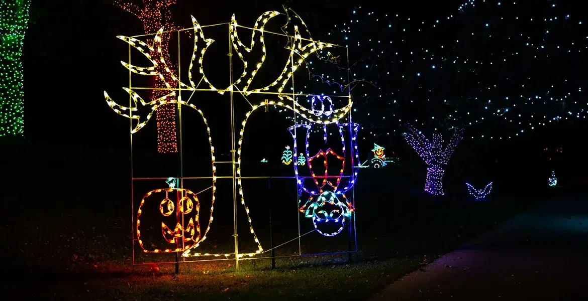 What Types of Holiday Lighting Can Be Used for Halloween and Christmas? - Outdoor Landscape Lighting Installations and Designs by Elite Lighting Designs